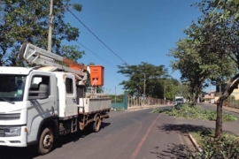 Prefeitura realiza limpeza de árvores em avenidas e sambódromo