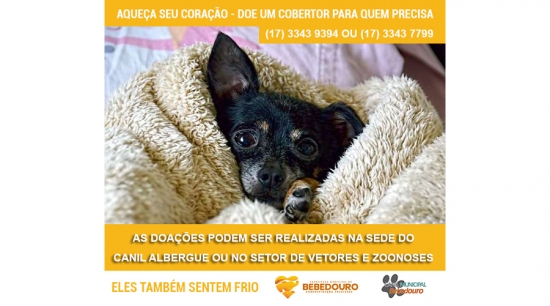 Canil Albergue arrecada doações de cobertores