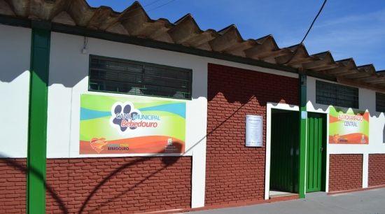 Canil Municipal trabalha para garantir o bem estar animal e a saúde da população