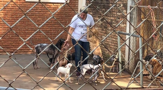 Canil Municipal recebe novos animais