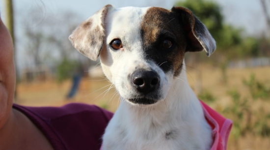Castramóvel atende população no extremo norte