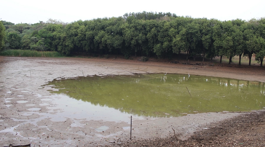 Prefeitura dá continuidade ao desassoreamento na represa do Parque Ecológico