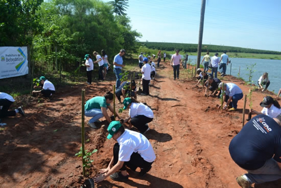 “Plantando para o Futuro” inicia recuperação de mata ciliar em Bebedouro