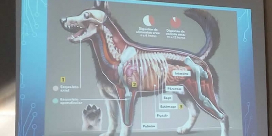 Funcionários do Canil Albergue de Bebedouro recebem treinamento