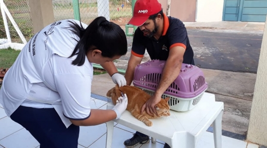Prefeitura vacina mais de 4 mil animais contra raiva