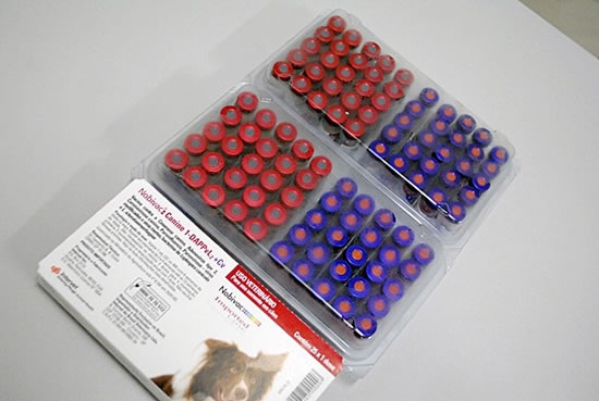 Canil Albergue de Bebedouro recebe vacinas