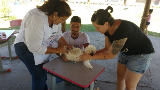 Vacinação Antirrábica atinge mais de 8 mil animais na área urbana