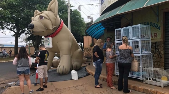 Canil Municipal realiza adoção e proporciona novos lares para cães e gatos