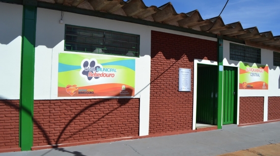 Canil Albergue divulga balanço de castrações, atendimentos e adoções