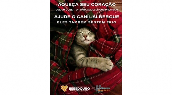 Canil Albergue realiza mais uma campanha de arrecadação de cobertores