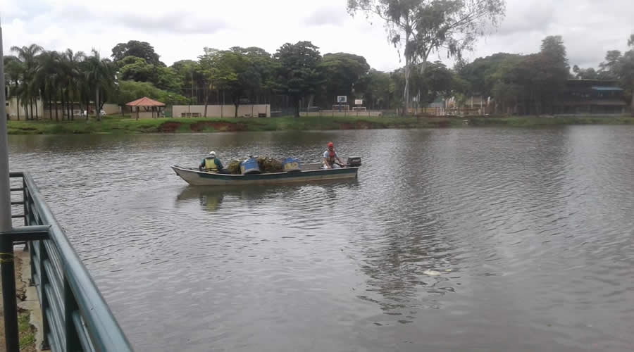 Prefeitura retira aguapés e lixo do Lago Artificial