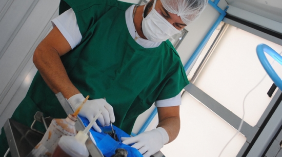 Castramóvel retorna as atividades no setor sul da cidade