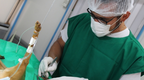 Castramóvel encerra atendimento em assentamento rural