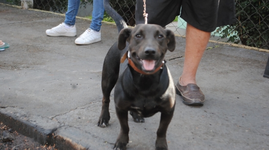 Castramóvel atende região do jardim Três Marias