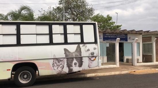 Mais de 50 animais foram castrados gratuitamente no jardim Laranjeiras