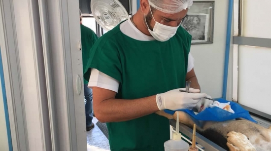 Castramóvel segue com atendimento no setor sul da cidade