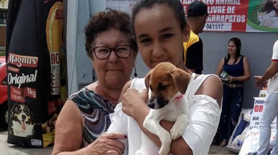 Feira de animais do Canil Albergue de Bebedouro esteve no setor norte