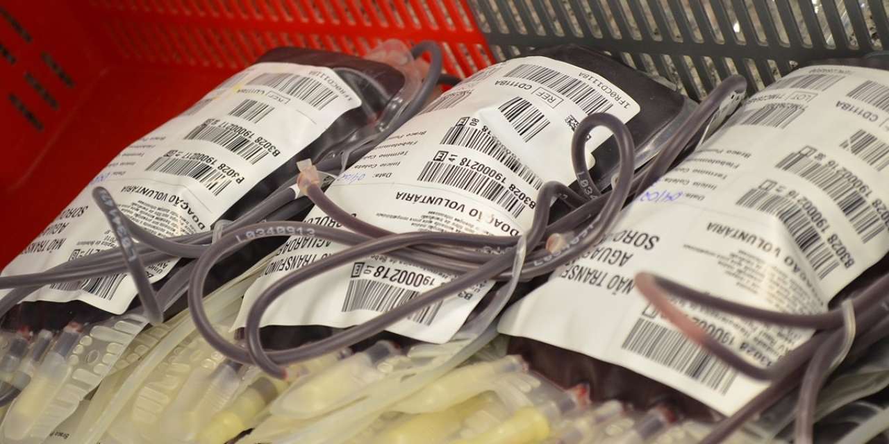 Hemocentro registra 26 bolsas coletadas e 03 cadastros de medula óssea