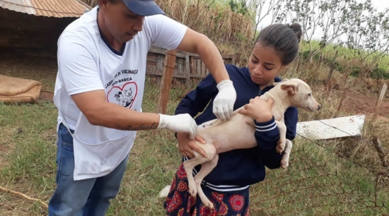 Campanha de Vacinação Antirrábica realiza atendimentos no Assentamento Reage Brasil