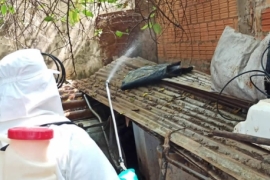 Prefeitura reforça ações contra dengue na cidade