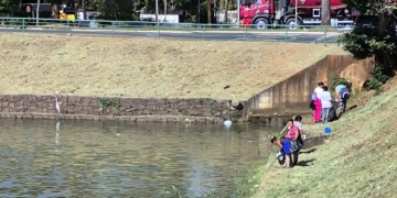 Equipe da Garagem Municipal realiza Limpeza da Orla do Lago