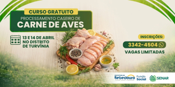 Fundo Social oferece curso gratuito de processamento caseiro de carne de aves em Turvínea