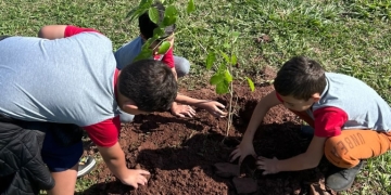 Plantio de árvores no Distrito de Botafogo
