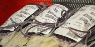 Hemocentro coleta 21 bolsas de sangue