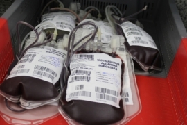 Hemocentro coleta 26 bolsas de sangue durante doação noturna