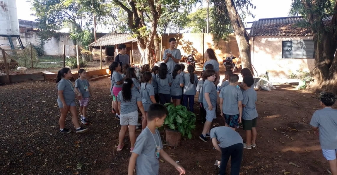 Colônia de Férias na Ecocidade une diversão e conscientização ambiental